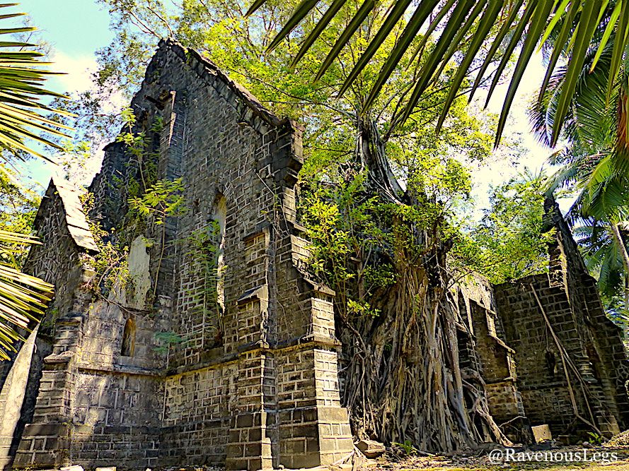 Explore Ross Island ruins