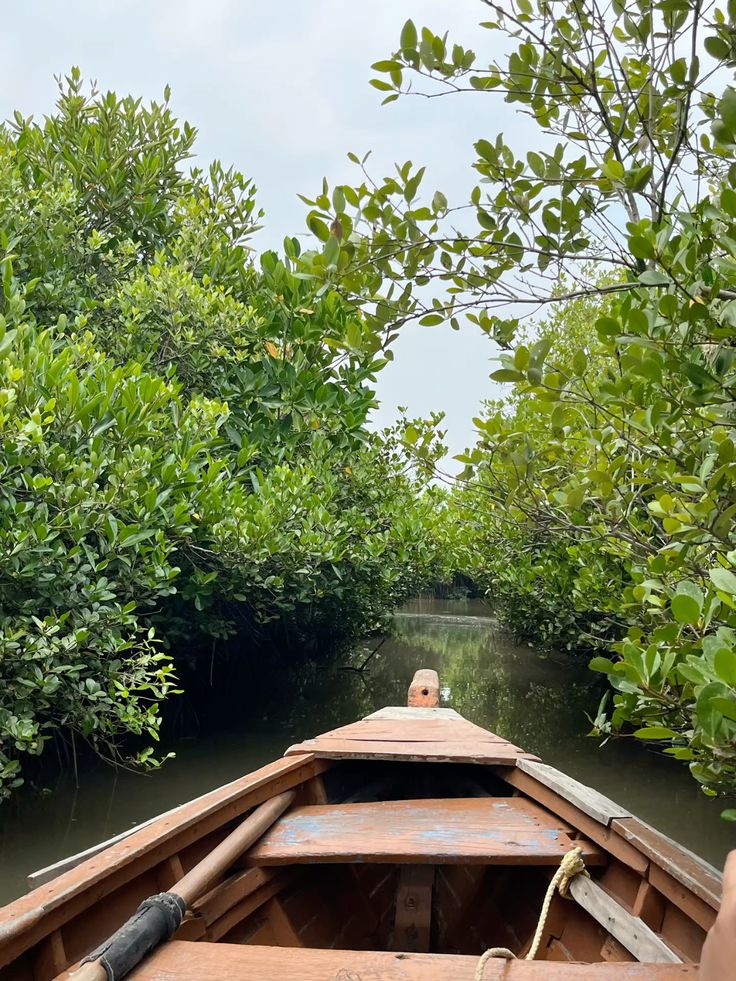 Madu River