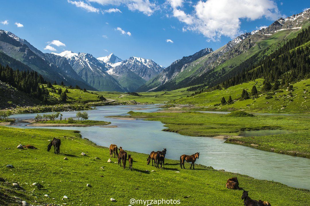 Uttarakhand Scenic Escape | Nainital, Corbett & Mussoorie Tour