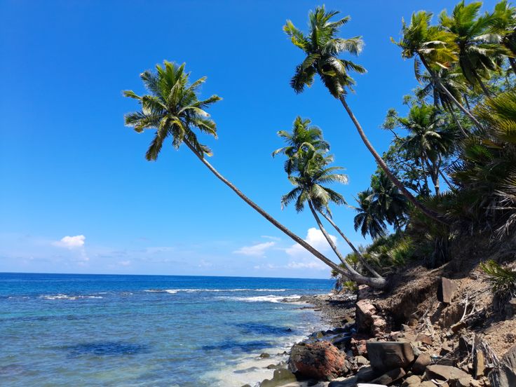 Ross Island