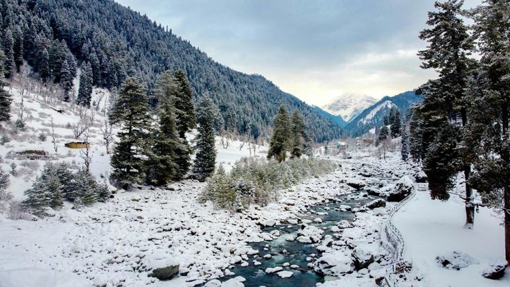 Valley exploration in Pahalgam