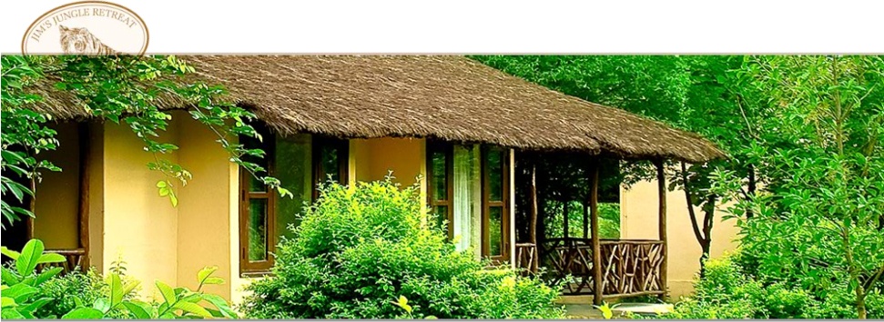 Jungle Resort Area