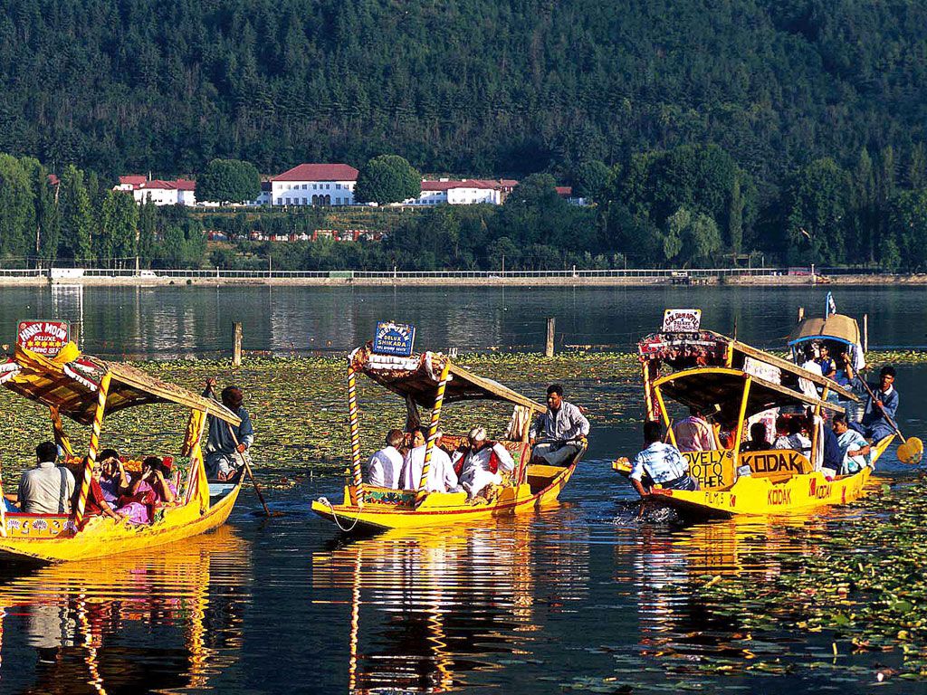 Shikara Ride on Dal Lake