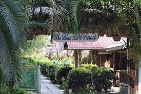 Havelock Island