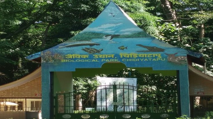 Chidiya Tapu