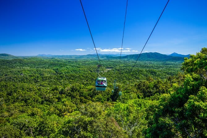Kuranda Rainforest Tour