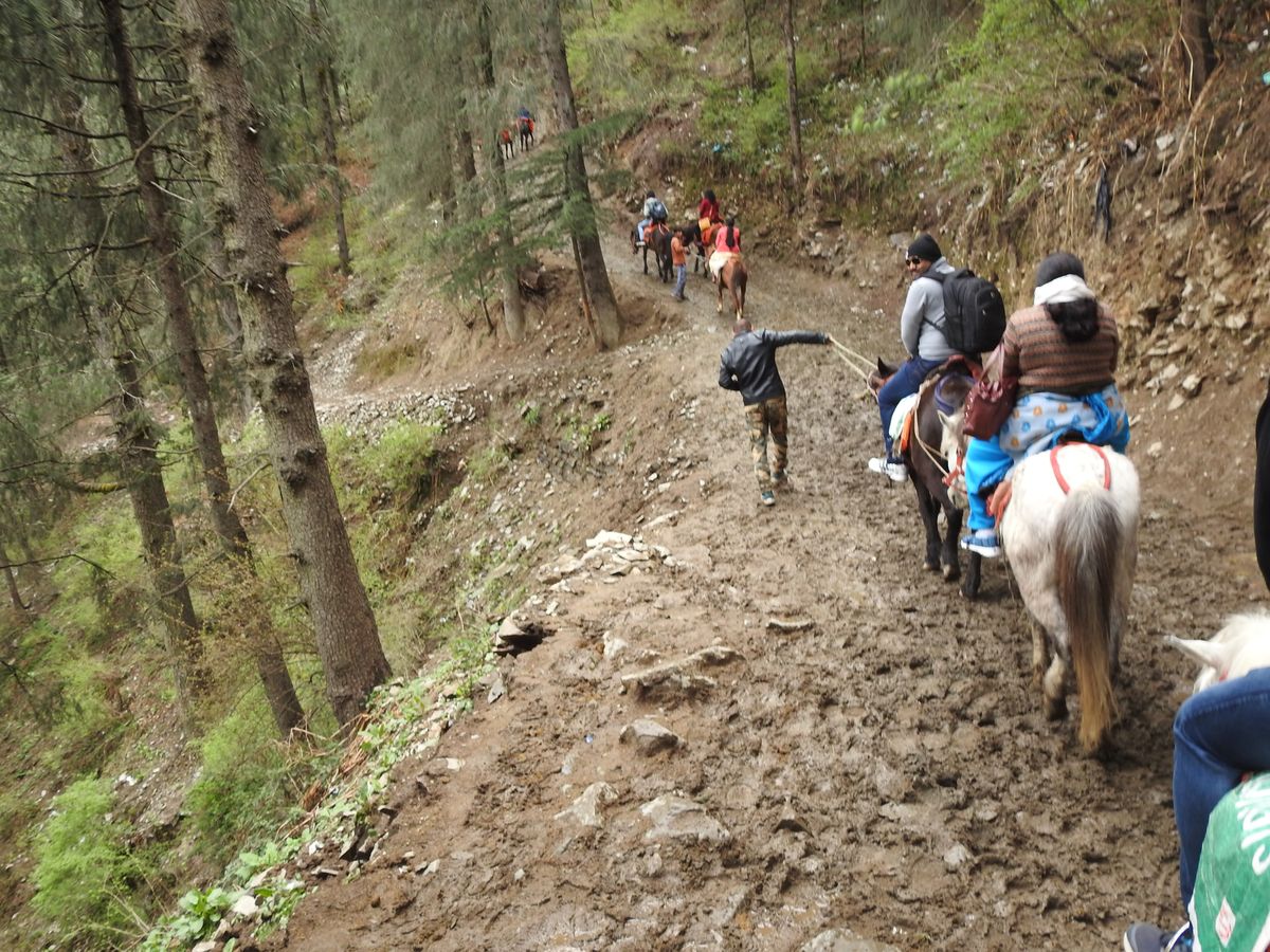 Pony Ride to Thajiwas Glacier