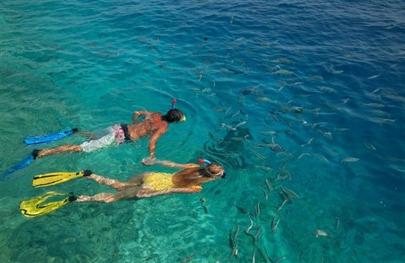 Scuba Diving (optional)