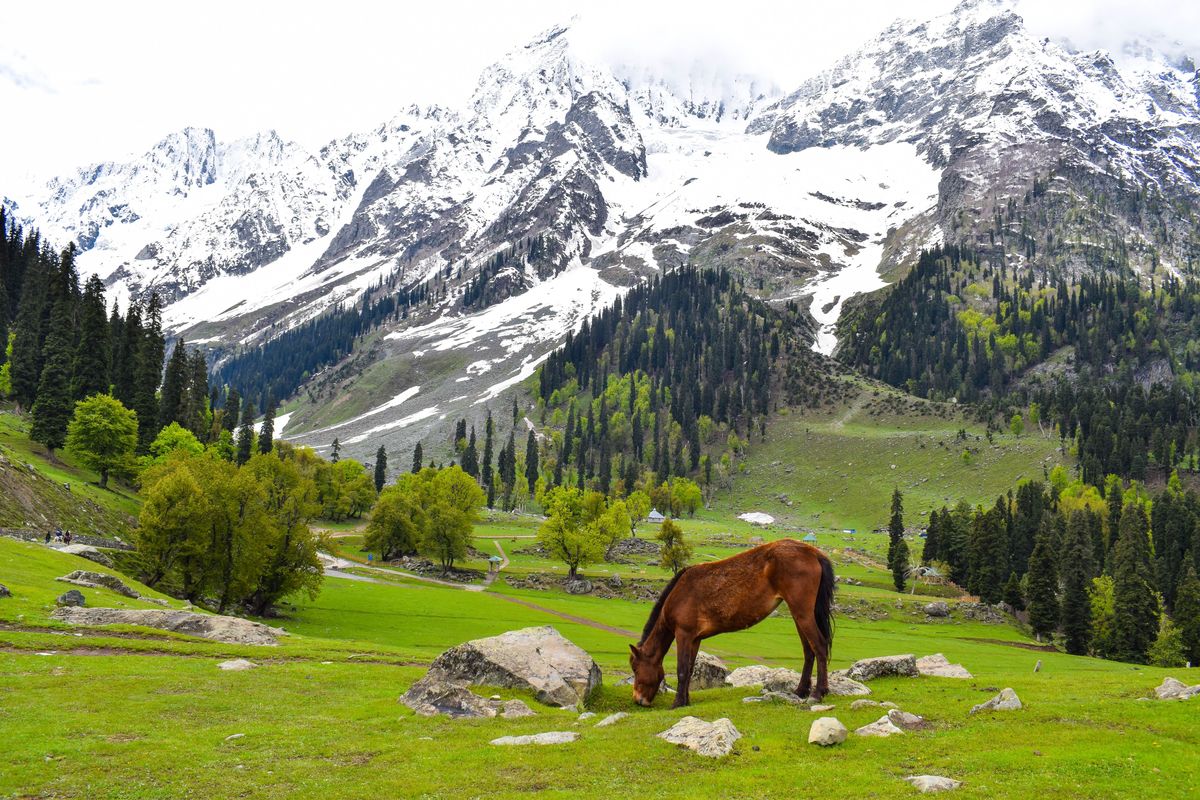Thajiwas Glacier