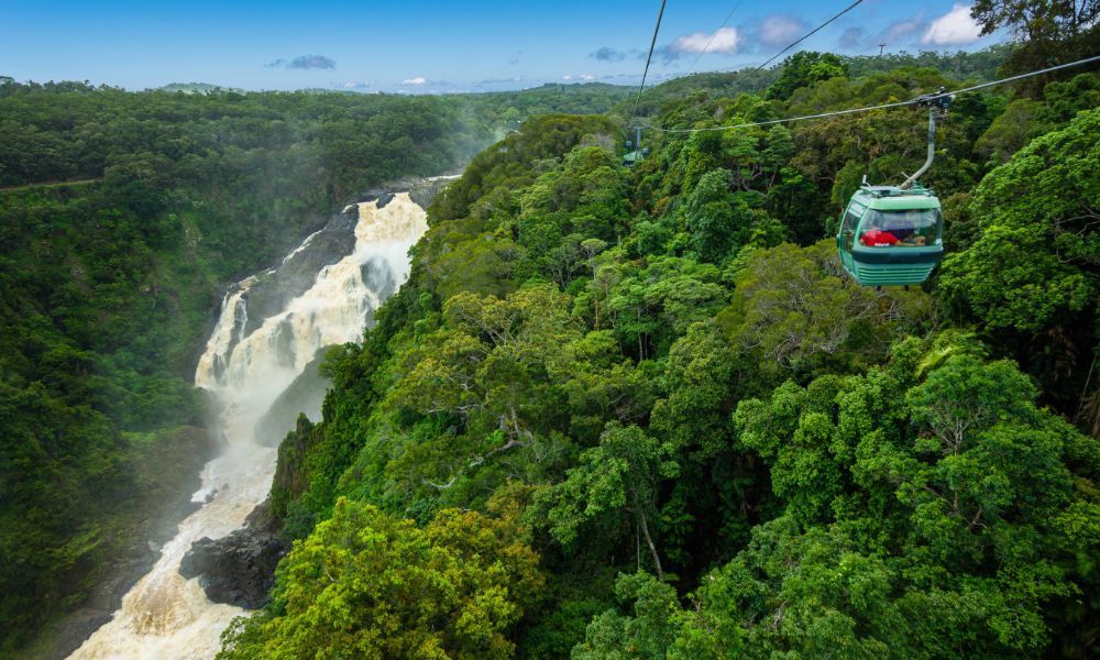 Skyrail Rainforest Cableway