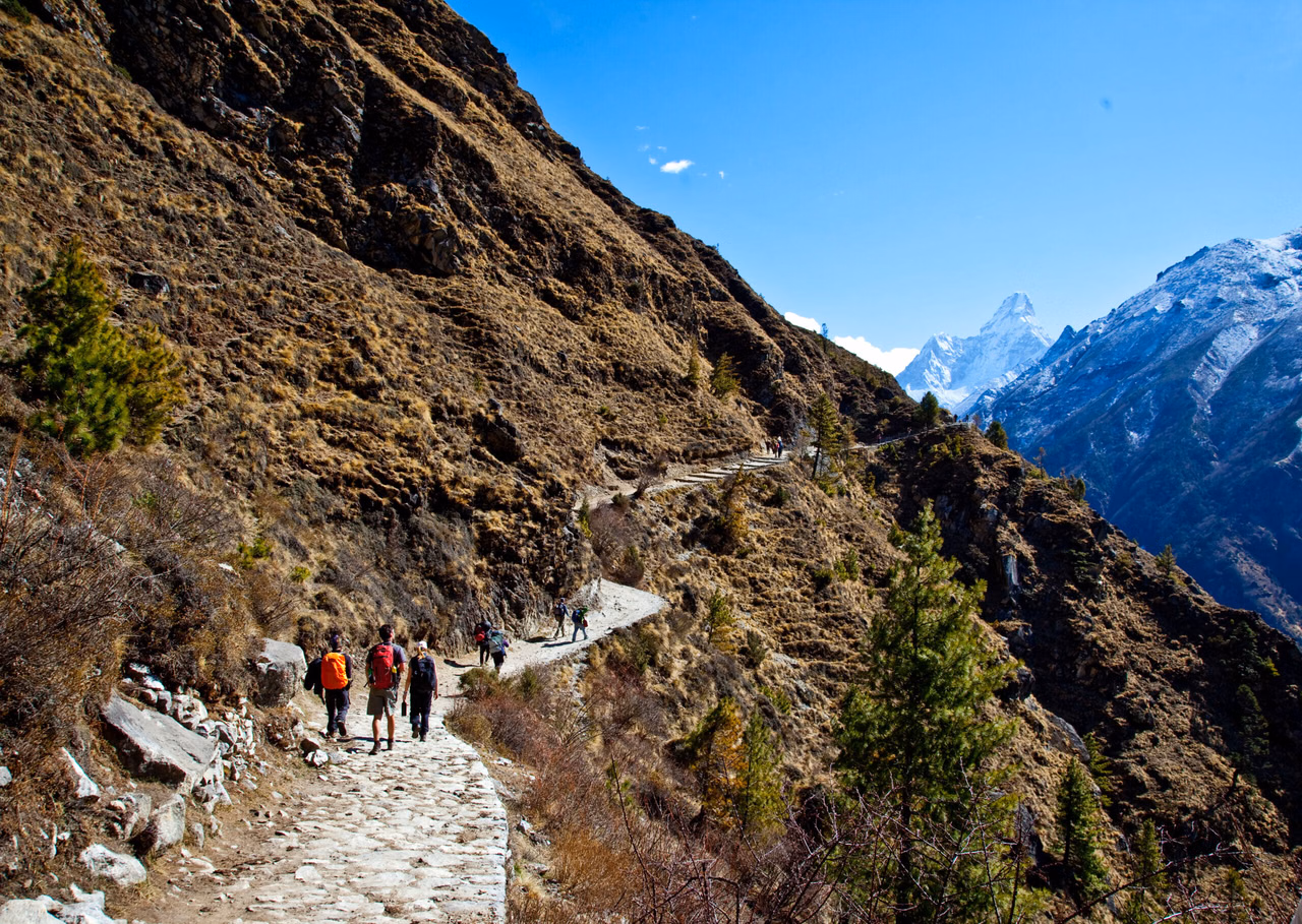 Kedarnath Trek (16 km)