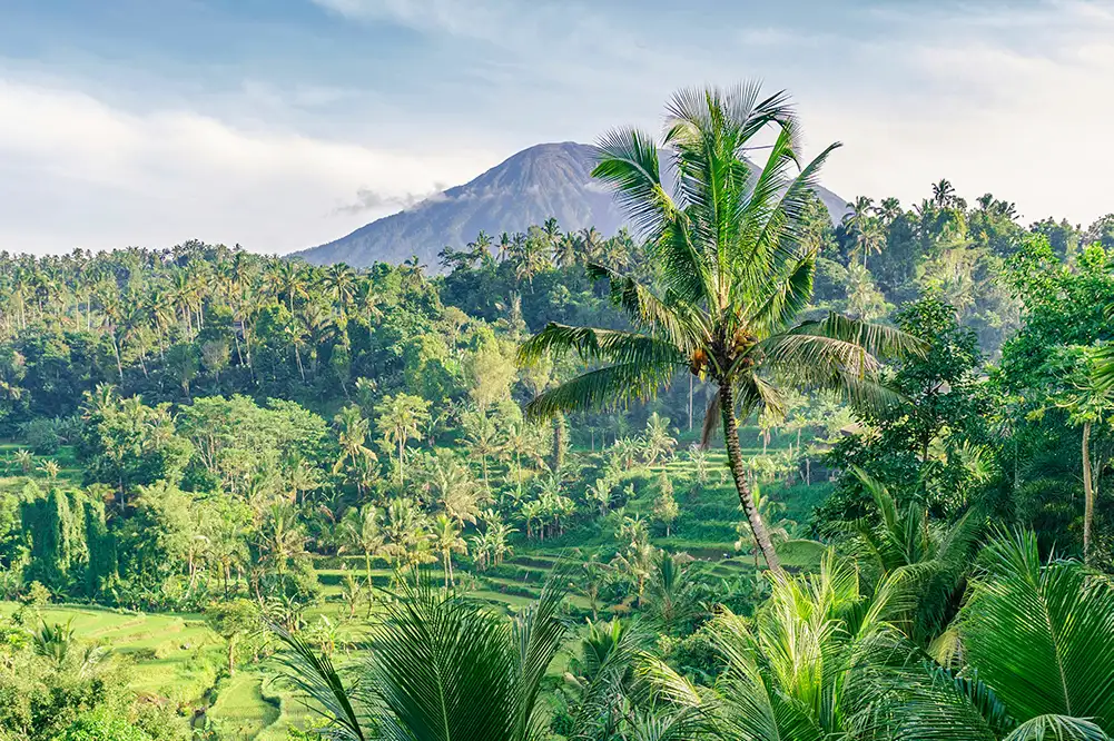 Ubud