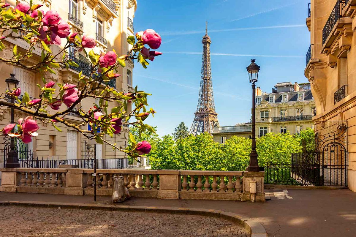 Paris City Tour