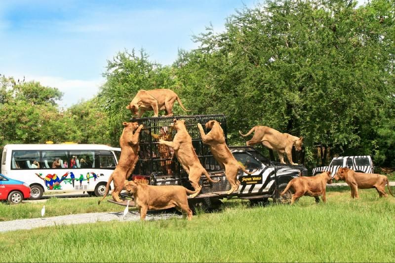 Safari World & Marine Park