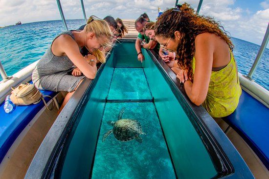 Glass Bottom Boat Ride