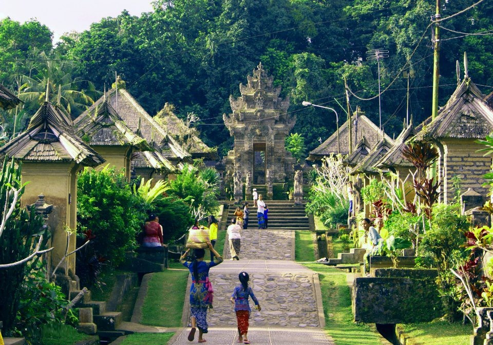 Activity & Sightseeing