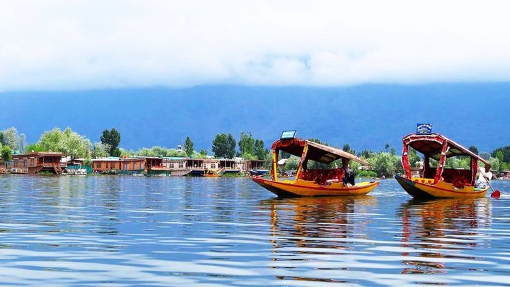 Shikara Ride on Dal Lake